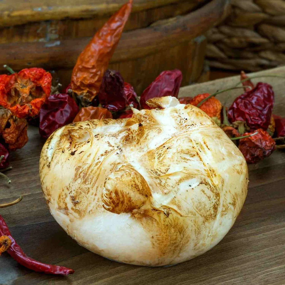Smoked buffalo mozzarella featured with cherry tomatoes and Mediterranean anchovies